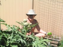 Daves Garden