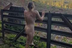 Dawn and Fence  1
