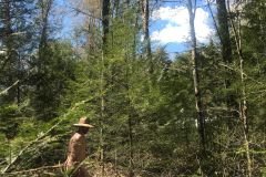 World Naked Gardening Day -  Out in Nature