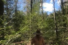 World Naked Gardening Day -  Out in Nature