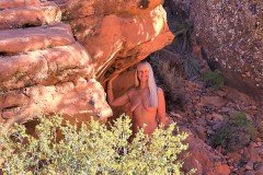 Radiant Red Rocks -  Out in Nature