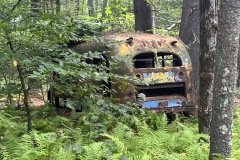 Bus - Out in Nature