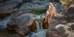 Sitting by the Cascade -  Out in Nature