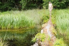 Visit To A Pond