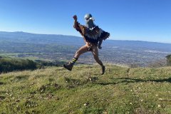 Flying Bird  - Other