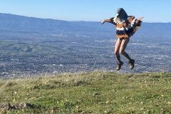 Soaring Bird - Other