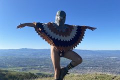 Totem Bird  - Other