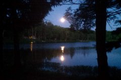 Fulll moon -  Out in Nature