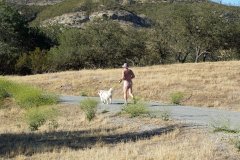 1_Running-the-dog