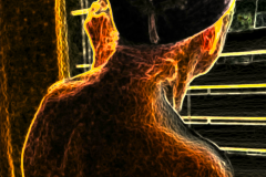 1_debCONTEST83