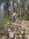 Mountain Bike Ride in Manzano Mountains -  Out in Nature