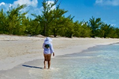 Stroll on the Beach -  Out in Nature