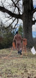 One of tree reasons to be nude -  Out in Nature