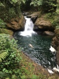 Skinny dipping in the Jungle -  Out in Nature