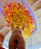 Under Chihuly Glass - Other