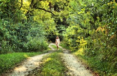 Summer Trail -  Out in Nature