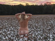 Cotton Field -  Out in Nature