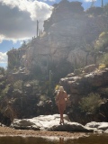 A Magical Day at Tanque Verde Falls -  Out in Nature