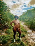 Orange Groves -  Out in Nature